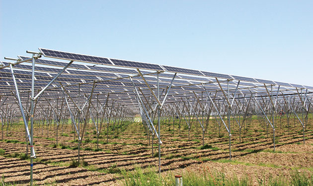 営農用太陽光に業界団体が混在する理由