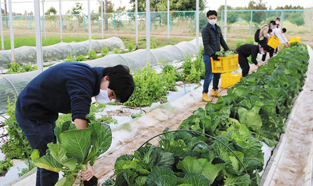  課題は農業の持続的収益化