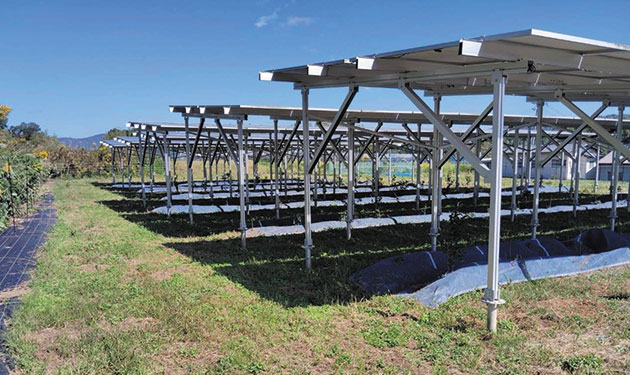 営農用太陽光開発を強化 既設発電所運用に着手