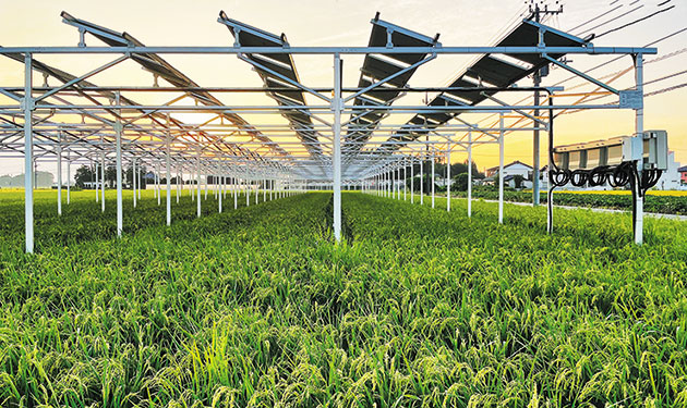 グリーンシステムコーポレーション、営農用太陽光90haに拡大へ