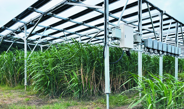 沖縄県糸満市、営農用太陽光発電を推進