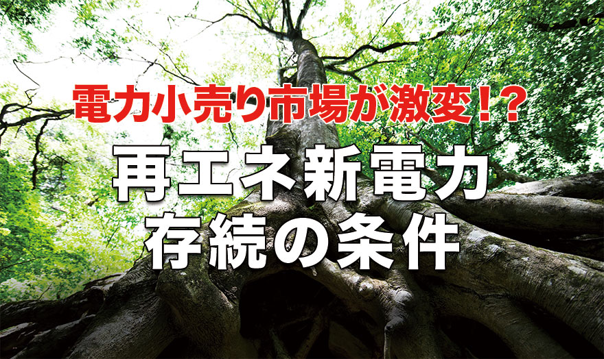 再エネ新電力存続の条件