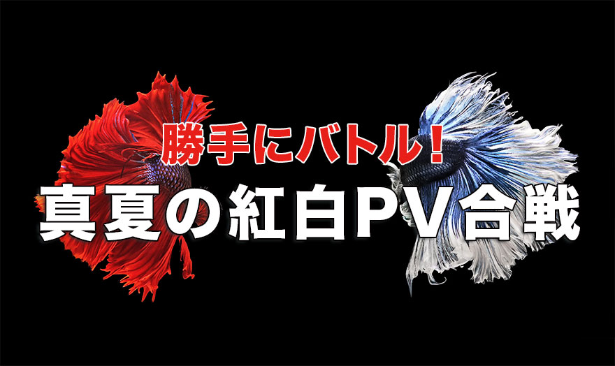 真夏の紅白PV合戦