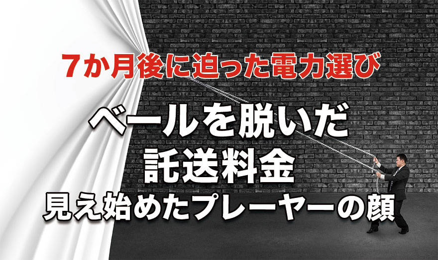 ベールを脱いだ託送料金