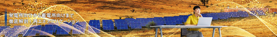 徹底解剖!再エネ アグリゲーション
