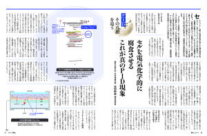 PID その真相を追うセルを電気化学的に腐食させる これが真のPID現象